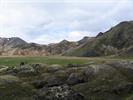 Laugavegur022.jpg