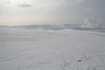 IMG_3151.jpg