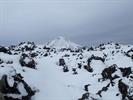 P3192290-6.JPG
