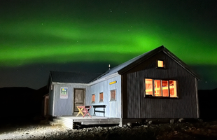 310x200 (6).png 310x200 (6).png