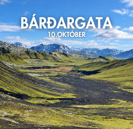 Bárðargata