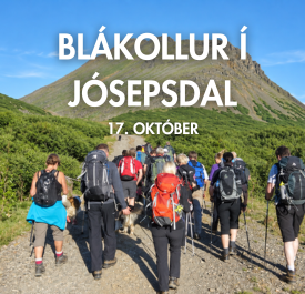 Blákollur í Jósepsdal