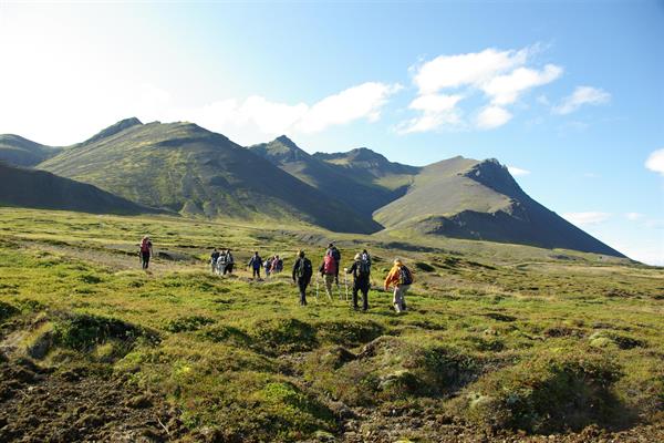 Hafnarfjallshringur